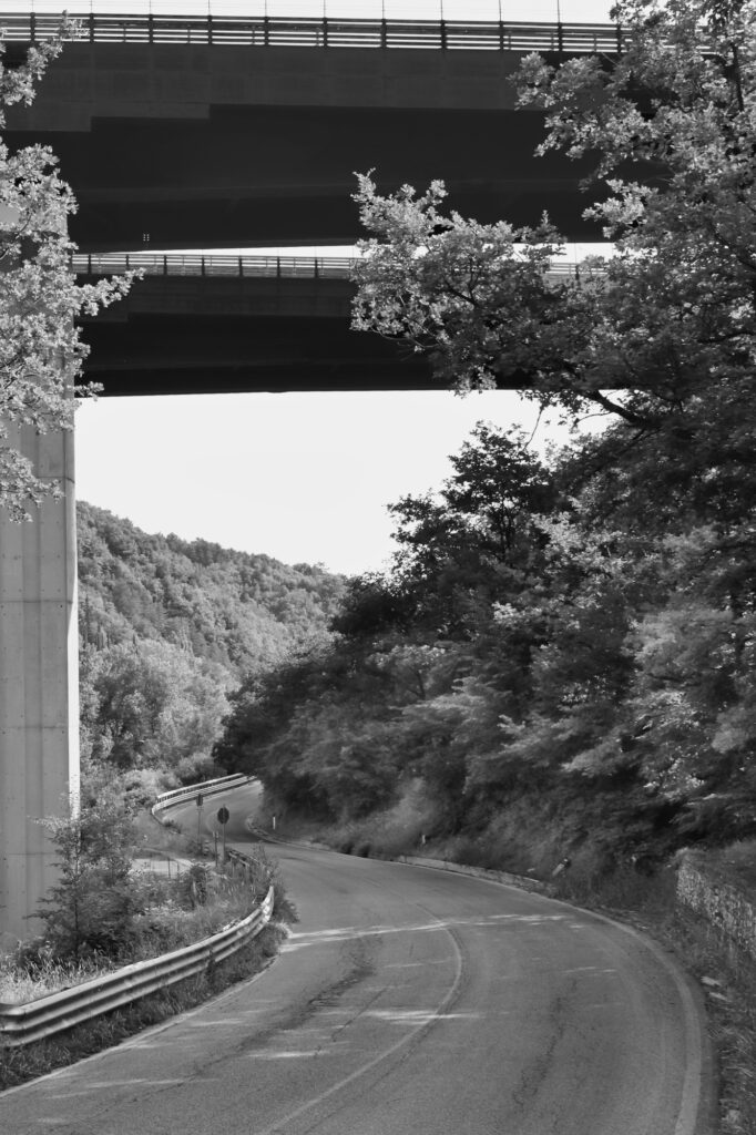 Sinossi 1 Stefano Zacconi